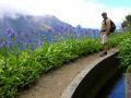 Madeira0888.JPG